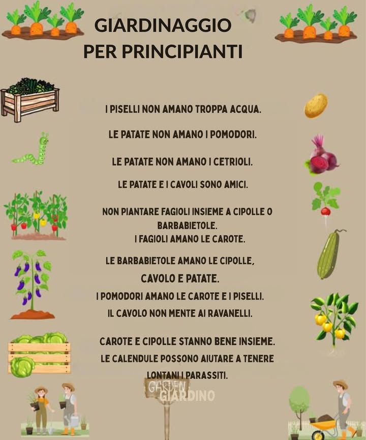 GIARDINAGGIO PER PRINCIPIANTI