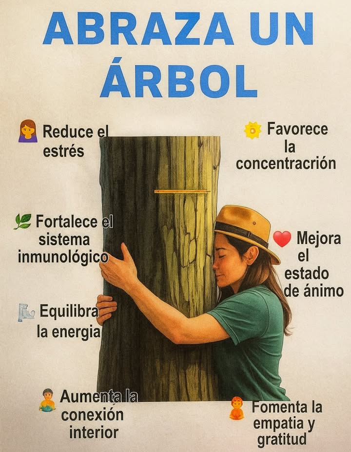 Abraza un arbol