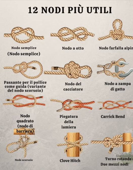 Nodi essenziali: Tecniche per ogni situazione
1. Nodo semplice – Ottimo per i tappi o per legare una corda.
2. Nodo a otto – Punto di ancoraggio sicuro, impedisce lo scivolamento.
3. Nodo Bowline – Anello fisso che non si stringe sotto tensione.
4. Nodo Bowline – Anello fisso e forte, facile da sciogliere.
5. Nodo del cacciatore – unisce due corde in modo sicuro.
6. Nodo a zampa di gatto – Accorcia una corda o la collega a un gancio.
7. Nodo quadrato – Unisce due corde di uguale spessore.
8. Nodo a testa di allodola – Fissa la corda a un oggetto o a un anello.
9. Carrick Bend – Unisce corde spesse per carichi pesanti.
10. Nodo scorrevole – Anello regolabile per vari usi.
11. Nodo a garofano – Assicura rapidamente la corda a un palo o a unasta.
12. Nodo dellancora – Solida tenuta per legarsi a un anello o a unancora.
 Imparate questi nodi per la vela, il campeggio, il giardinaggio, larrampicata o il fai da te!