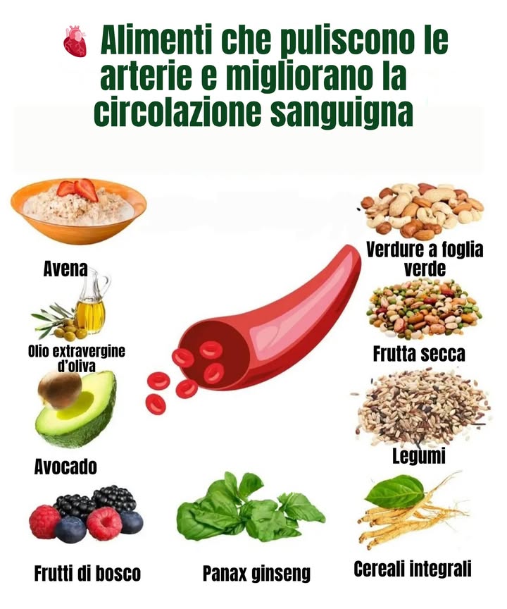 變 Alimenti che puliscono le arterie e migliorano la circolazione sanguigna

Avena  Ricca di fibre solubili, aiuta a ridurre il colesterolo cattivo LDL.

Olio extravergine doliva  Fonte di grassi buoni che proteggono il cuore.

Avocado  Contiene acidi grassi monoinsaturi che favoriscono la salute delle arterie.

Frutti di bosco  Antiossidanti naturali che rinforzano i vasi sanguigni.

Verdure a foglia verde  Ricche di nitrati e clorofilla, stimolano una buona circolazione.

Frutta secca  Apporta acidi grassi omega-3, magnesio e vitamina E.

Legumi  Aiutano a ridurre il colesterolo e migliorano lelasticità arteriosa.

Cereali integrali  Favoriscono la pulizia delle arterie grazie al loro contenuto di fibre.

Panax ginseng  Stimola la circolazione e dona energia naturale.