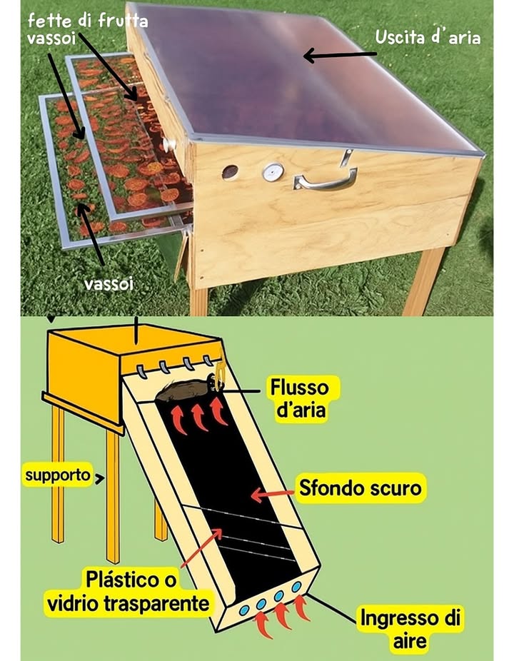 La disidratazione solare è stata utilizzata per secoli per conservare frutta e erbe. Questa tecnica utilizza lenergia del sole per rimuovere lumidità dai prodotti, consentendo la loro conservazione e consumo durante tutto lanno. Oggi, la disidratazione solare è unattività che sta guadagnando popolarità grazie alla sua sostenibilità ed efficienza.

Funzione dei Disidratatori Solari
I disidratatori solari sono dispositivi progettati per catturare lenergia del sole e utilizzarla per disidratare frutta e erbe. Questi dispositivi sfruttano leffetto serra e il trasferimento di calore ottimizzando lenergia solare e trasformandola in calore. Il calore viene quindi utilizzato per disidratare i prodotti, rimuovendo lumidità e permettendo la loro conservazione.

La disidratazione solare offre diversi vantaggi rispetto ad altre tecniche di disidratazione. Alcuni dei vantaggi più significativi includono:
– Sostenibilità: La disidratazione solare è unattività che utilizza lenergia del sole, rendendola sostenibile e rispettosa dellambiente.
– Efficienza: La disidratazione solare è unattività in grado di disidratare i prodotti in modo efficiente e rapido.
– Qualità: La disidratazione solare consente di ottenere prodotti secchi di alta qualità, con un sapore e una consistenza naturali.

La disidratazione solare ha una varietà di applicazioni nellindustria alimentare. Alcune delle applicazioni più comuni includono:
– Frutta secca: La disidratazione solare è una tecnica comunemente utilizzata per produrre frutta secca, come uvetta, datteri e prugne.
– Erbe secche: La disidratazione solare è utilizzata anche per produrre erbe secche, come origano, timo e rosmarino.