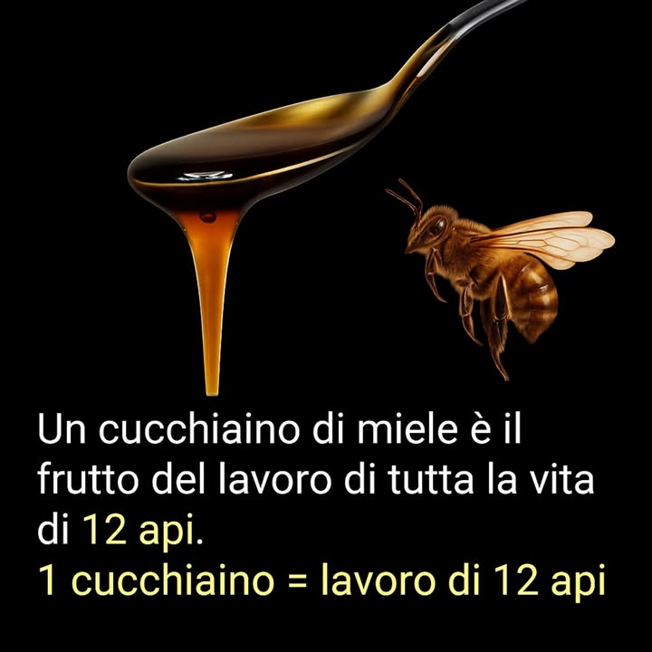 曆 Le farfalle stanno scomparendo  ma tu puoi aiutare!  
Dallevitare pesticidi al piantare fiori autoctoni, ogni piccola azione conta. Lascia i tronchi dove sono, spegni le luci di notte e non rimuovere mai quegli ovetti sui fogli  sono la prossima generazione di impollinatori.