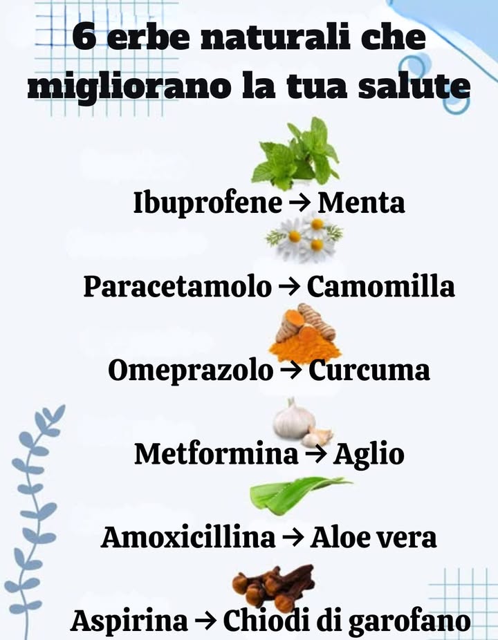 6 Erbe Naturali Che Migliorano La Tua Salute
