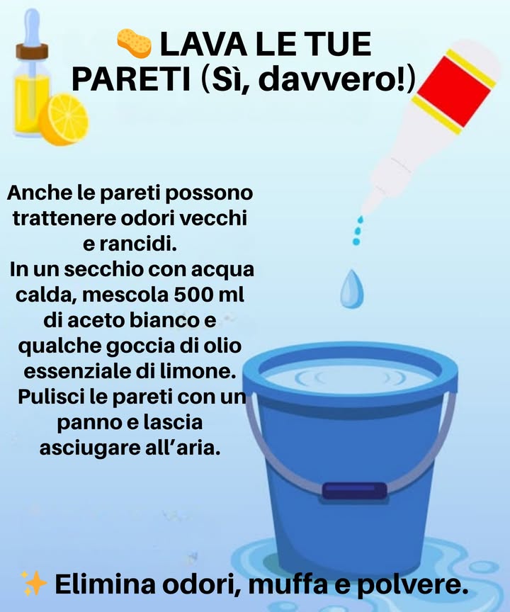 LAVA LE TUE PARETI  
SÌ, È SERIO