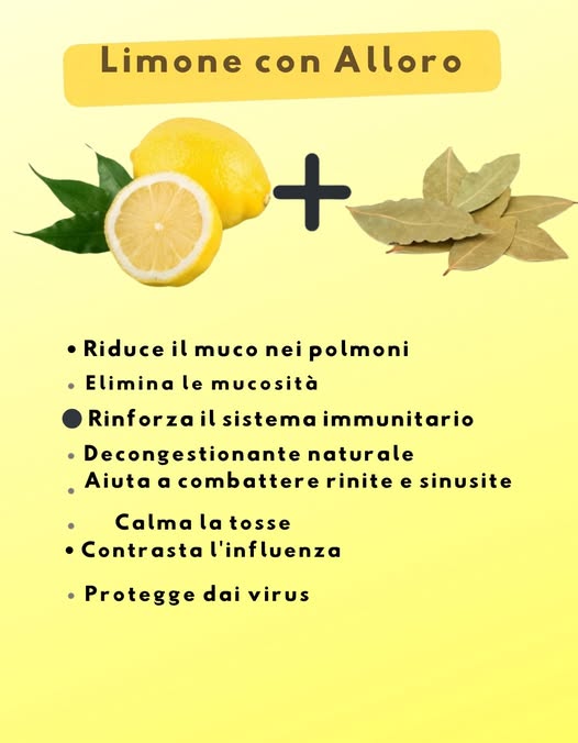 Limone e alloro: un duo naturale per la salute 
Riduce il muco nei polmoni ed elimina le secrezioni
Rafforza il sistema immunitario e favorisce la decongestione
Aiuta a combattere rinite e sinusite
Calma la tosse e sostiene la lotta contro linfluenza
Offre una protezione naturale contro alcuni virus