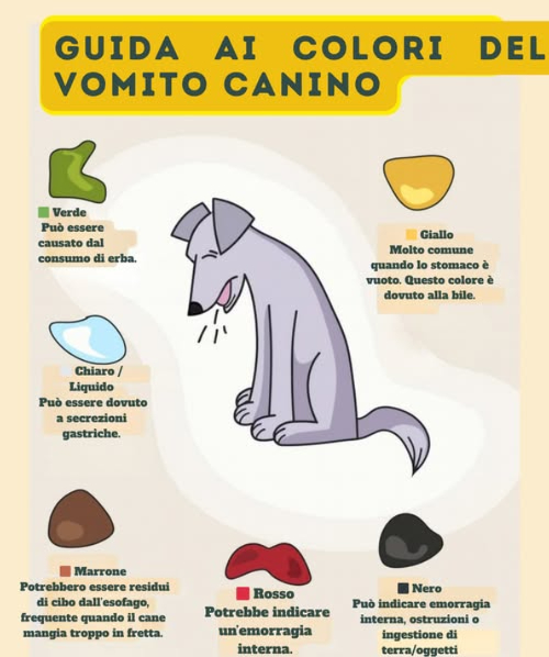 Guida rapida: Colori del vomito nei cani
 Verde  causato da mangiare erba.  
 Chiaro, liquido  secrezioni gastriche.  
 Marrone  resti di cibo dallesofago, si verifica quando mangiano in fretta.  
 Giallo  molto comune con lo stomaco vuoto, per bile.  
 Rosso sangue  possibile emorragia interna.  
 Nero  può essere emorragia interna, ostruzioni o consumo di terra.
 Controlla sempre la salute del tuo cane. Se i sintomi persistono, vai dal veterinario. 喙