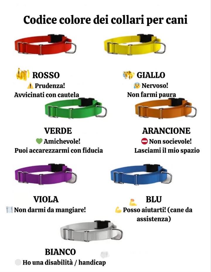 Codice colore dei collari per cani   
Ogni colore trasmette uninformazione essenziale sul comportamento e sui bisogni del cane:  
 Rosso  Prudenza: avvicinati con cautela, potrebbe essere territoriale o reattivo.  
 Giallo  Nervoso: evita movimenti bruschi, ha bisogno di calma e dolcezza.  
 Verde  Amichevole: socievole e sicuro, puoi accarezzarlo senza paura.  
 Arancione  Non socievole: preferisce mantenere le distanze, non avvicinarti troppo.  
 Viola  Non nutrire: segue una dieta specifica o ha problemi di salute.  
 Blu  Addestrato: cane di assistenza o in addestramento, può svolgere compiti specifici.  
 Bianco  Disabilità: soffre di una disabilità e necessita di particolare attenzione.  
Un codice semplice che permette di comprendere e rispettare meglio ogni cane, per maggiore sicurezza e armonia tra umani e animali.