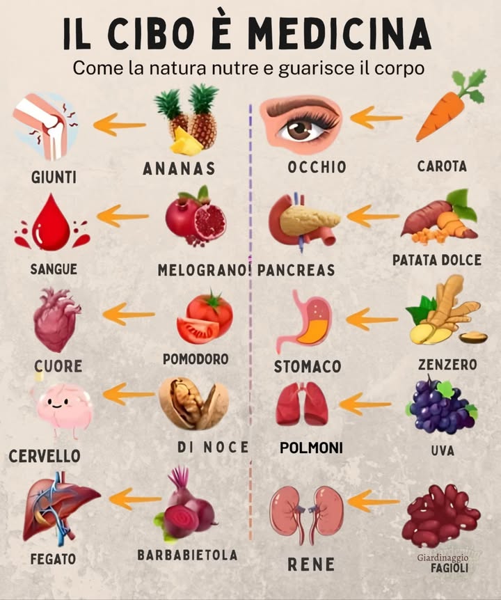 Il cibo è medicina: come la natura nutre e guarisce 

 Ananas: Riduce linfiammazione e allevia il dolore articolare.  
 Melograno: Aumenta il flusso sanguigno e protegge i globuli rossi.  
 Pomodoro: Ricco di nutrienti per un cuore più sano.  
易 Noci: Ricche di omega-3 per una migliore memoria e concentrazione.  
 Barbabietola: Disintossica il fegato e migliora la circolazione.  
凌 Carota: Beta-carotene per una visione acuta.         
 Patata dolce: Regola la glicemia e favorisce la digestione.  
 Zenzero: Calma la nausea e supporta la digestione.  
 Uva: Protegge i polmoni dalle tossine.  
齃 Fagioli rossi: Supportano la salute dei reni con fibre e minerali.

Abbraccia la guarigione della natura!