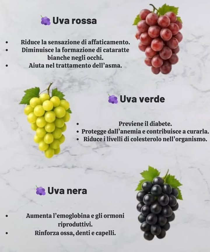 Benefici dellUva   
 Uve rosse  
 Riducono la fatica  
 Diminuiscono le cataratte negli occhi  
 Aiutano nel trattamento dellasma  
 Uve verdi  
 Prevenzione del diabete  
 Proteggono contro lanemia  
 Riducono il colesterolo nellorganismo  
 Uve nere  
 Aumentano lemoglobina e gli ormoni riproduttivi  
 Rinforzano ossa, denti e capelli