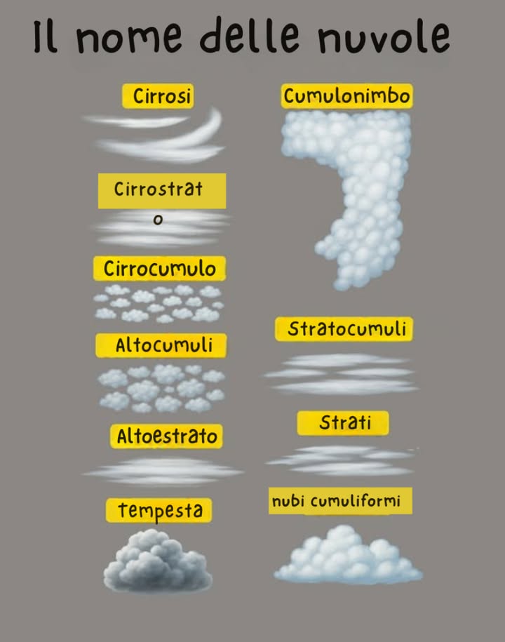 Le nuvole, formazioni di gocce dacqua o cristalli di ghiaccio, giocano un ruolo fondamentale nel clima. Ecco i principali tipi di nuvole:

  Nuvole alte  oltre 20.000 piedi:
–  Cirro : Sottili cristalli di ghiaccio.
–  Cirrostrati : Uniformi e coprono il cielo.
–  Cirrocumulus : Piccole nuvole di cristalli di ghiaccio.

  Nuvole medie  6.500 – 20.000 piedi:
–  Altocumulus : Composte da gocce dacqua e cristalli.
–  Altostrati : Uniformi che coprono lintero cielo.

  Nuvole basse  sotto 6.500 piedi:
–  Stratocumulus : Basse e uniformi.
–  Strati : Coprono lintero cielo.
–  Nubi : Piccole gocce dacqua.

  Nuvole verticali  oltre 10.000 piedi:
–  Tempesta : Dense e possono generare pioggia e fulmini.
–  Cumulonembo : Verticali e potenzialmente tempestose.

Scopri di più sul mondo affascinante delle nuvole! #Météorologie #Meteorologia #ScienceMétéo #ScienzaMeteo