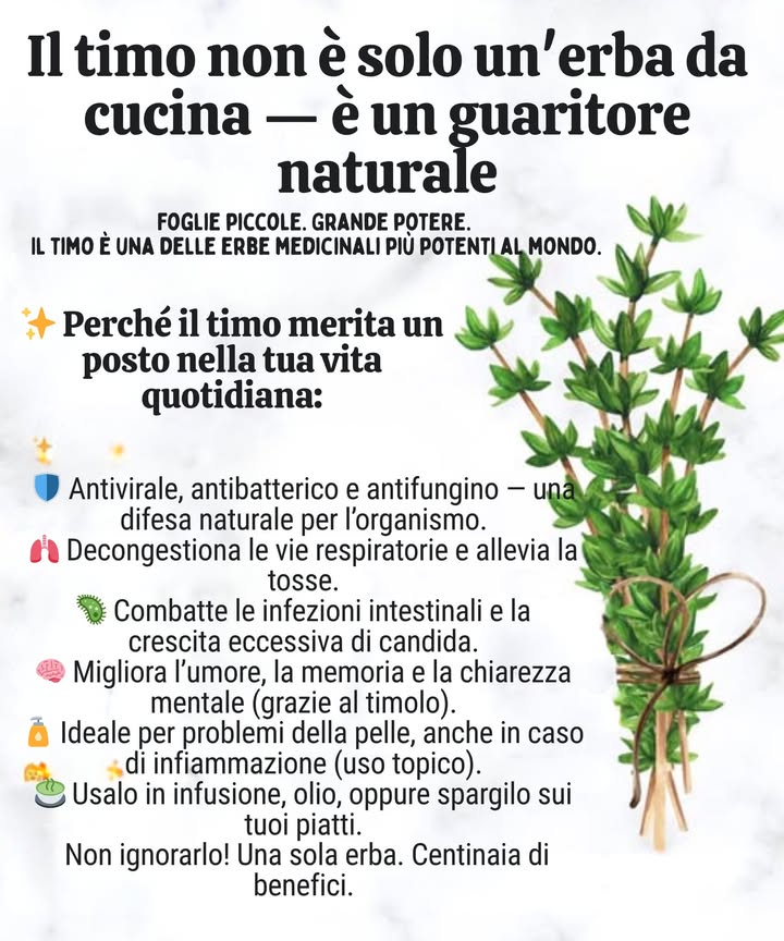 IL TIMO NON È SOLO UNERBA DA CUCINA  È UN GUARITORE NATURALE