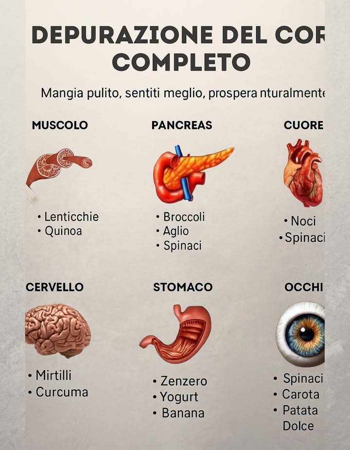 復 Depurazione Completa del Corpo con Alimenti Naturali
Mangiare in modo sano aiuta ogni parte del corpo a funzionare meglio. Ecco alcuni cibi chiave per sostenere ogni organo:

 Muscoli
 Lenticchie
 Quinoa
 Ceci

喙 Pancreas
 Broccoli
 Aglio
 Spinaci

 Cuore
 Noci
 Avocado
 Avena

易 Cervello
 Mirtilli
 Noci
 Curcuma

遼 Stomaco
 Zenzero
 Yogurt
 Banana

 Occhi
 Spinaci
 Carote
 Patata dolce

 Unalimentazione bilanciata e naturale contribuisce al benessere di tutto il corpo.