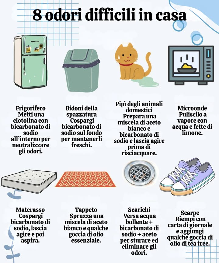 8 odori difficili del hogar