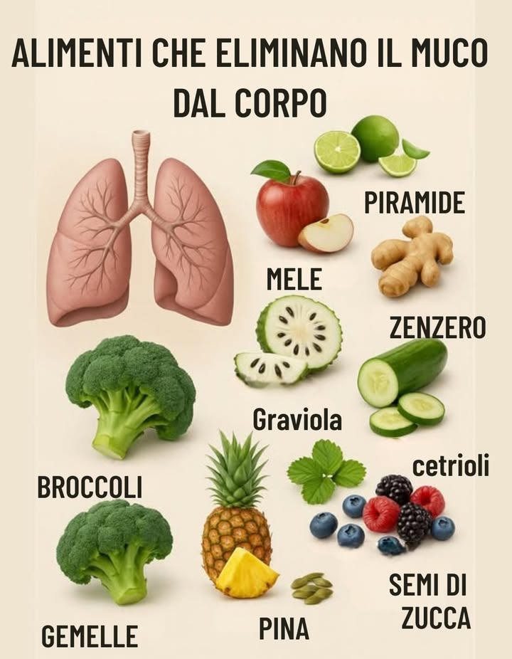 Hai catarro, muco o congestione costante?  
La tua alimentazione può aiutarti a eliminarlo naturalmente!   
Questi alimenti aiutano a pulire il corpo dal muco e favoriscono la salute dei tuoi polmoni e del sistema respiratorio   
 Lime  Alcalinizzano il corpo e aiutano a sciogliere il muco.  
 Mele  Ricche di fibre e antiossidanti.  
 Zenzero  Potente antinfiammatorio naturale.  
勒 Cetriolo  Idratante e depurativo.  
復 Broccoli  Disintossicano e rinforzano i polmoni.  
 Ananas  Contiene bromelina, che scioglie le secrezioni.  
 Graviola  Rafforza il sistema immunitario.  
𢡄 Frutti di bosco  Pieni di antiossidanti.  
 Semi di zucca  Ricchi di zinco, ideali per la salute respiratoria.  
 Consiglio extra: accompagna questi alimenti con acqua tiepida ed evita i latticini se hai un eccesso di muco.  
#AlimentosQueCuran #AlimentiCheGuariscono