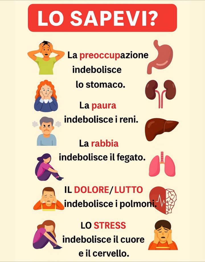 Lo sapevi?

Le tue emozioni non influenzano solo il tuo umore, ma hanno un impatto diretto sulla salute del tuo corpo.

 Preoccupazione  Stomaco
La preoccupazione costante aumenta lacido gastrico, portando a indigestioni, gonfiore o ulcere.

 Paura  Reni
La paura o lansia prolungata possono compromettere la funzione renale e prosciugare le riserve energetiche del corpo.

 Rabbia  Fegato
La rabbia frequente stressa il fegato, vitale per disintossicare il corpo e mantenere il sangue pulito.

 Dolore  Polmoni
Una profonda tristezza può indebolire i polmoni, rendendo più difficile respirare e abbassando lassunzione di ossigeno.

 Stress  Cuore e Cervello
Lo stress cronico aumenta la pressione sanguigna, mette sotto sforzo il cuore e riduce la chiarezza mentale.

 Conclusione: Gestire le emozioni con consapevolezza, esercizio fisico e abitudini sane rafforza sia la mente che il corpo.