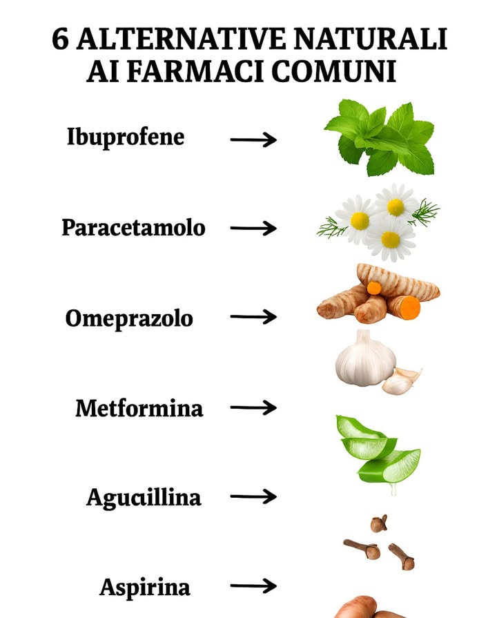 6 alternative naturali ai farmaci comuni 

  Ibuprofene  Menta piperita  
Allevia il dolore e linfiammazione  
 Per: mal di testa, dolori muscolari  

  Paracetamolo  Camomilla  
Calma i dolori e rilassa il corpo  
 Per: febbre, dolori muscolari, stress  

  Omeprazolo  Curcuma  
Riduce lacidità e supporta la digestione  
 Per: bruciori di stomaco, gonfiore  

  Metformina  Aglio  
Regola naturalmente la glicemia  
 Per: supporto in caso di diabete di tipo 2  

  Amoxicillina  Aloe vera  
Combatte i germi e lenisce i tessuti  
 Per: infezioni, ferite, sistema digestivo  

  Aspirina  Chiodi di garofano  
Rimedio naturale per il dolore e alleato del cuore  
 Per: mal di denti, mal di testa  

 Un approccio delicato, naturale ed efficace per alleviare senza chimica.