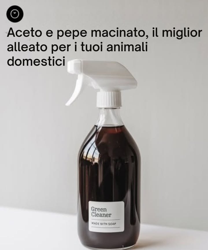 Addio allurina di cani e gatti con questo rimedio casalingo   
Se vuoi evitare che i tuoi animali domestici o gli animali randagi urinino in determinati luoghi, prova questa miscela naturale ed efficace.  
 Ingredienti:  
 1 tazza di aceto  
 1 cucchiaio di pepe  
 Il succo di 1 limone  
 1 tazza dacqua  
 Preparazione e uso:  
1 Mescola tutti gli ingredienti in un recipiente.  
2 Versa la soluzione in uno spruzzatore.  
3 Spruzza nelle aree dove solitamente fanno pipì.  
Questo rimedio è sicuro e aiuterà a mantenere gli spazi puliti senza danneggiare gli animali.   
#RemediosCaseros #RimediCasalinghi #Mascotas #Animali #HogarLimpio #CasaPulita