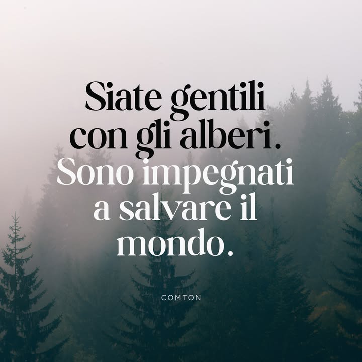 Senza gli alberi, la vita come la conosciamo non esisterebbe. Gli alberi si prendono cura del mondo da molto prima che noi arrivassimo. Perciò, proteggi questi custodi della Terra. Abbiamo più bisogno noi di loro che loro di noi.