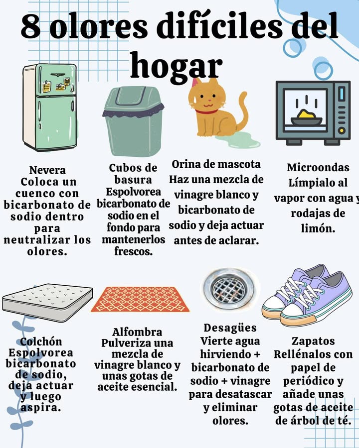 8 olores difíciles del hogar