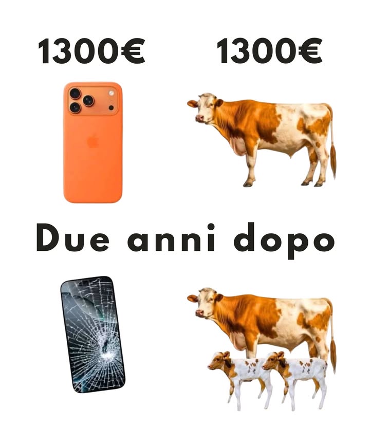 Telefono vs Mucca: Due Modi Diversi di Usare il Denaro 

1 Limmagine confronta due acquisti dal valore identico, 1300, ma con destini opposti: uno smartphone e una mucca da latte.
2 Dopo due anni, il telefono appare rotto e privo di valore, mentre la mucca ha generato due vitellini e una produzione costante di latte.
3 Il messaggio evidenzia la differenza tra beni di consumo, che si svalutano rapidamente, e beni produttivi, capaci di creare reddito nel tempo.
4 Non si tratta di un invito allallevamento, ma di una riflessione sulla logica dellinvestimento e sulla gestione consapevole del denaro.
5 Lezioni principali: evita acquisti di puro status, privilegia ciò che genera valore nel lungo periodo e considera sempre costi e manutenzione.
6 Ogni euro può trasformarsi in spesa o investimento: la differenza sta nel farlo lavorare invece di lasciarlo consumare.