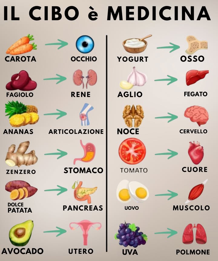 復 Il cibo è medicina: cosa mangiare per ogni organo 復

1 Carota  Occhi
Ricca di betacarotene, favorisce la vista e protegge la salute oculare.

2 Fagioli  Reni
La loro forma ricorda i reni e aiutano a sostenerne le funzioni e la depurazione.

3 Ananas  Articolazioni
Grazie alla bromelina riduce dolore e infiammazione articolare.

4 Zenzero  Stomaco
Un potente digestivo che calma nausea, gonfiore e indigestioni.

5 Patata dolce  Pancreas
Simile nella forma, contiene nutrienti che favoriscono lequilibrio della glicemia.

6 Avocado  Utero
Ricco di folati e grassi sani, sostiene la salute riproduttiva.

7 Yogurt  Ossa
Fonte di calcio e probiotici per ossa forti e intestino sano.

8 Aglio  Fegato
Stimola gli enzimi epatici e favorisce i processi di disintossicazione.

9 Noce  Cervello
La forma richiama lencefalo e i suoi nutrienti supportano memoria e concentrazione.

 Pomodoro  Cuore
Contiene licopene che protegge il cuore e riduce linfiammazione.

11 Uova  Muscoli
Proteine complete per costruire e riparare i tessuti muscolari.

12 Uva  Polmoni
Aiuta a ridurre linfiammazione polmonare e favorisce la funzione respiratoria.