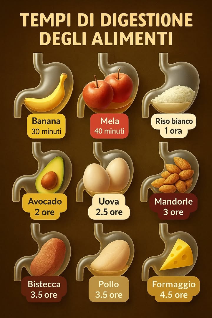 Tempi di digestione degli alimenti: una guida completa
Vedere tutti i dettagli nel primo commento.