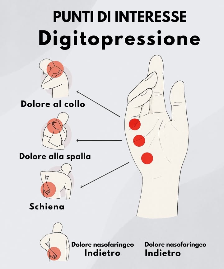 Punti di Digitopressione per Alleviare il Dolore 

1 Dolore al collo
Massaggia delicatamente il punto superiore della mano per sciogliere le tensioni cervicali.

2 Dolore alla spalla
Applica pressione sul punto centrale del palmo, utile per rilassare le spalle e stimolare la circolazione.

3 Dolore alla schiena
Premi il punto inferiore del palmo per ridurre i dolori lombari e la rigidità muscolare.

 Una tecnica semplice, naturale ed efficace per alleviare i fastidi quotidiani.
