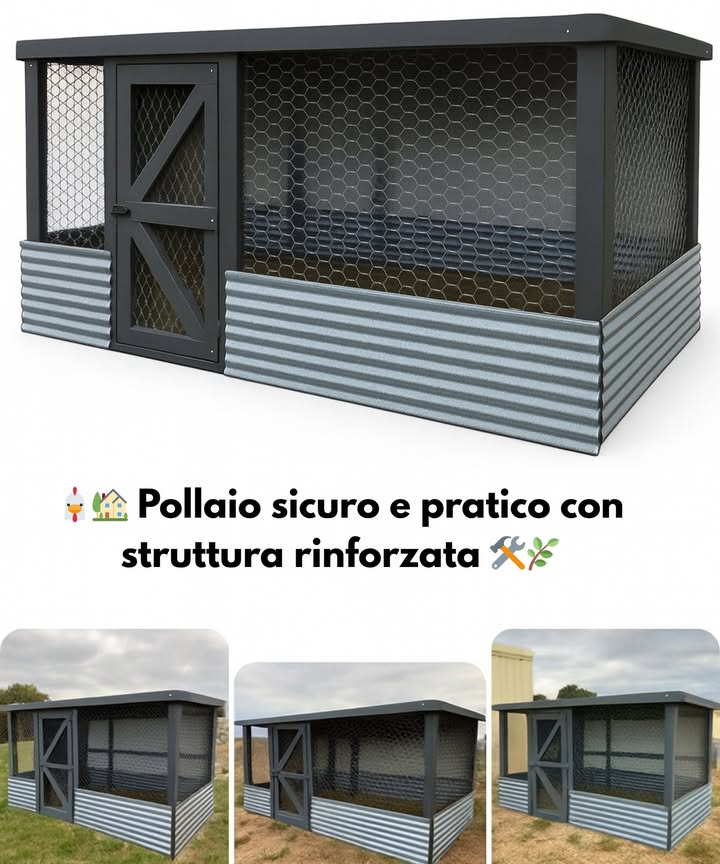 Pollaio sicuro e pratico con struttura rinforzata 

1 Struttura in legno robusta per stabilità e lunga durata.
2 Fianchi in lamiera zincata per bloccare i roditori e proteggere dalle intemperie.
3 Rete metallica per ventilazione continua e sicurezza contro i predatori.
4 Porta ampia per agevolare accesso, pulizia e gestione quotidiana.
5 Design funzionale per il comfort delle galline e la praticità dellallevatore.