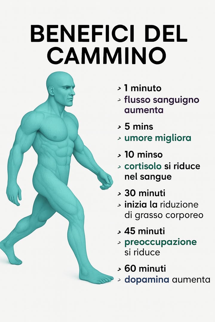 Benefici della Camminata: Un Alleato Quotidiano per Corpo e Mente
Maggiori informazioni nel primo commento.