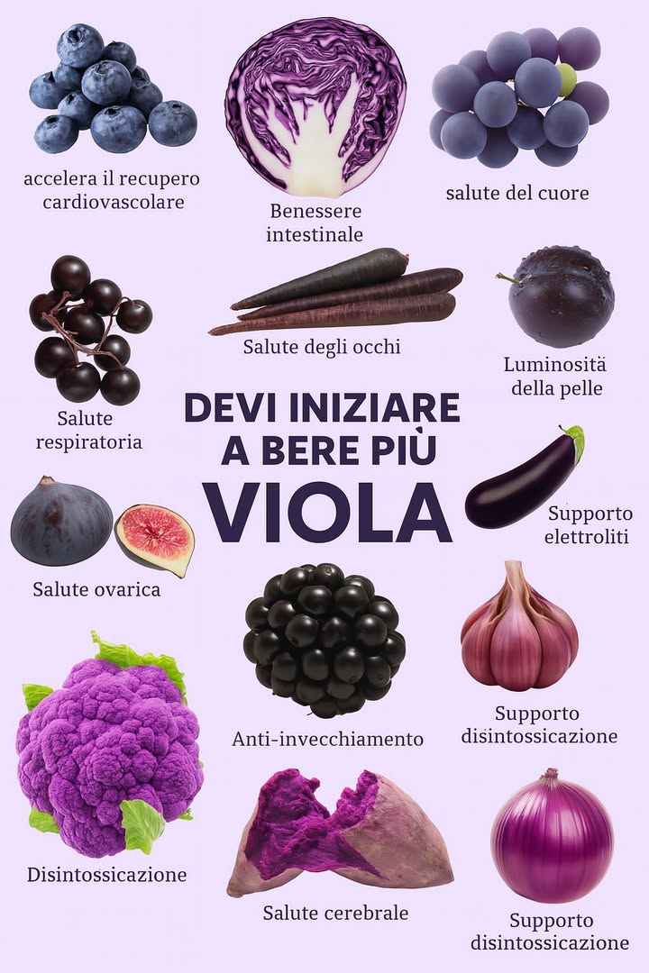 Il potere del viola: alimenti che migliorano la salute
Il vivace colore viola di frutta e verdura è associato a una vasta gamma di benefici per la salute. Limmagine mette in evidenza diversi alimenti viola che supportano diversi aspetti della salute, sottolineando limportanza di integrare questi alimenti ricchi di nutrienti nella propria dieta.

Salute cardiovascolare e cardiaca
Mirtilli e uva sono rinomati per promuovere un sistema cardiovascolare sano. I mirtilli aiutano ad accelerare il recupero cardiovascolare grazie ai loro antiossidanti, mentre luva supporta la salute generale del cuore migliorando la funzionalità dei vasi sanguigni.

Controllare i dettagli nel primo commento.