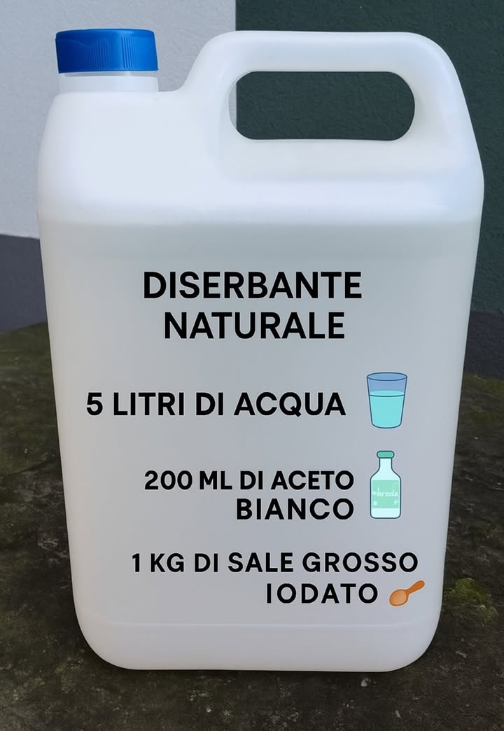 Diserbante naturale per un giardino sano 

1 Ingredienti
5 litri dacqua 
200 ml di aceto bianco 
1 kg di sale grosso 蓼

2 Preparazione
Sciogliere il sale nellacqua fino al completo assorbimento.
Aggiungere laceto e mescolare accuratamente.
Applicare la miscela sulle erbacce nelle giornate calde e soleggiate.

3 Avvertenze
Non distribuire vicino a piante ornamentali o coltivate, perché la soluzione è aggressiva.
Provare prima su una piccola area.
Ripetere il trattamento sulle erbacce più resistenti.

4 Vantaggi
Soluzione ecologica, priva di sostanze chimiche dannose.
Ingredienti economici e facilmente reperibili.
Preparazione rapida e applicazione semplice.
Risultati visibili in pochi giorni.

5 Consigli extra
Integrare con la pacciamatura paglia, foglie secche, corteccia per ridurre la crescita delle infestanti.
Arricchire il terreno con materia organica per favorire le piante utili.
Adottare pratiche di giardinaggio naturale che sostengono la biodiversità.

 Un approccio semplice che contribuisce a mantenere il giardino equilibrato e rispettoso dellambiente.