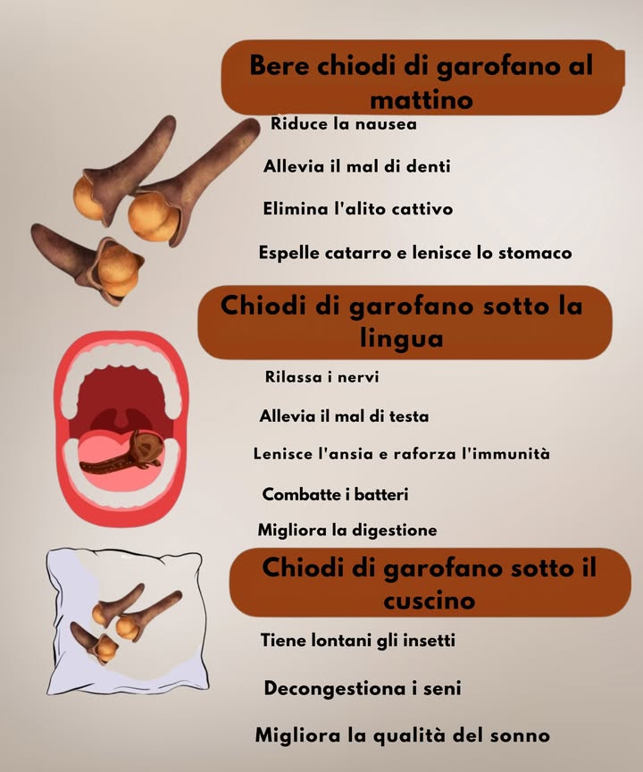 Il chiodo di garofano ogni giorno 

Piccolo ma potentissimo, il chiodo di garofano è un alleato naturale contro dolori, disturbi digestivi e perfino lalito cattivo. Facile da usare, regala benefici notevoli se integrato con gesti semplici di benessere:

1 Prepara uninfusione rilassante 
Metti 2 o 3 chiodi di garofano in una tazza dacqua calda, lascia in infusione 1015 minuti, filtra e, se vuoi, aggiungi un cucchiaino di miele.

2 Sollievo per un mal di denti 醴
Schiaccia leggermente un chiodo e applicalo sulla zona dolorante, oppure usa una goccia di olio essenziale diluita in olio vegetale.

3 Rinfresca lalito 
Mastica 1 o 2 chiodi di garofano per neutralizzare i batteri e avere un alito più fresco.

4 Aiuto alla digestione 擄
Bevi una tisana al garofano dopo i pasti: riduce gonfiore, nausea e favorisce la digestione.

5 Respiro più libero 
In caso di raffreddore o influenza, uninfusione al garofano calma i sintomi e sostiene le difese naturali.