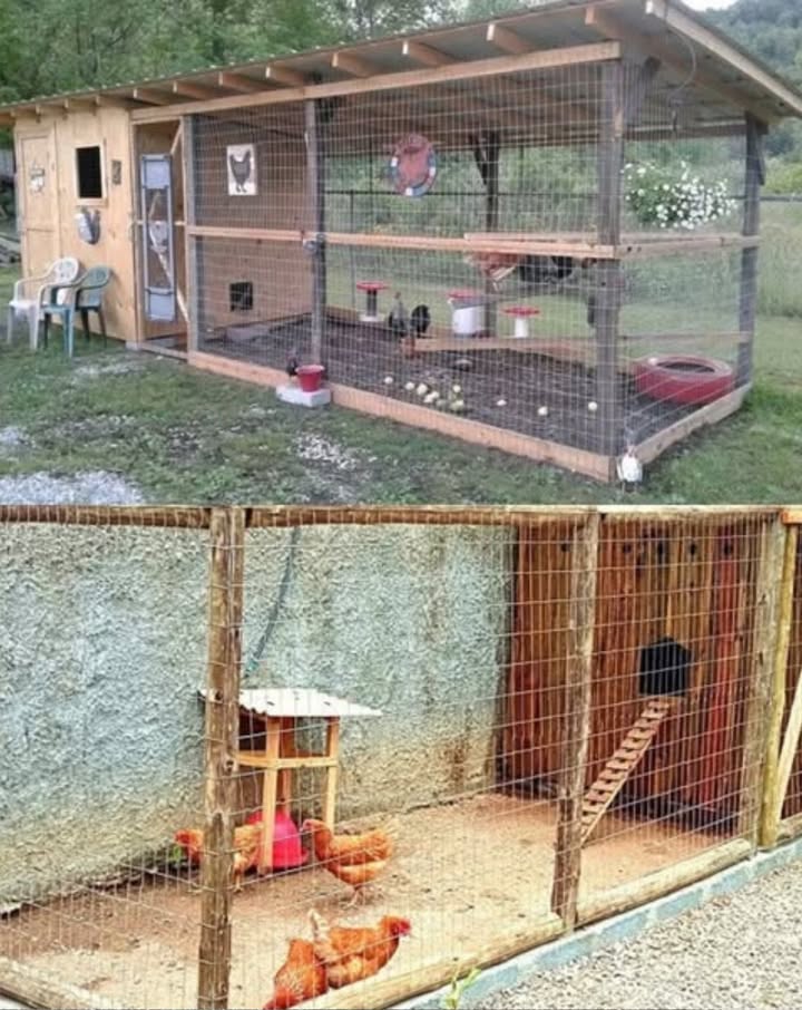 Costruire un Pollaio Economico: Guida Completa per un Rifugio Sano e Sostenibile
Controllare i dettagli nel primo commento.