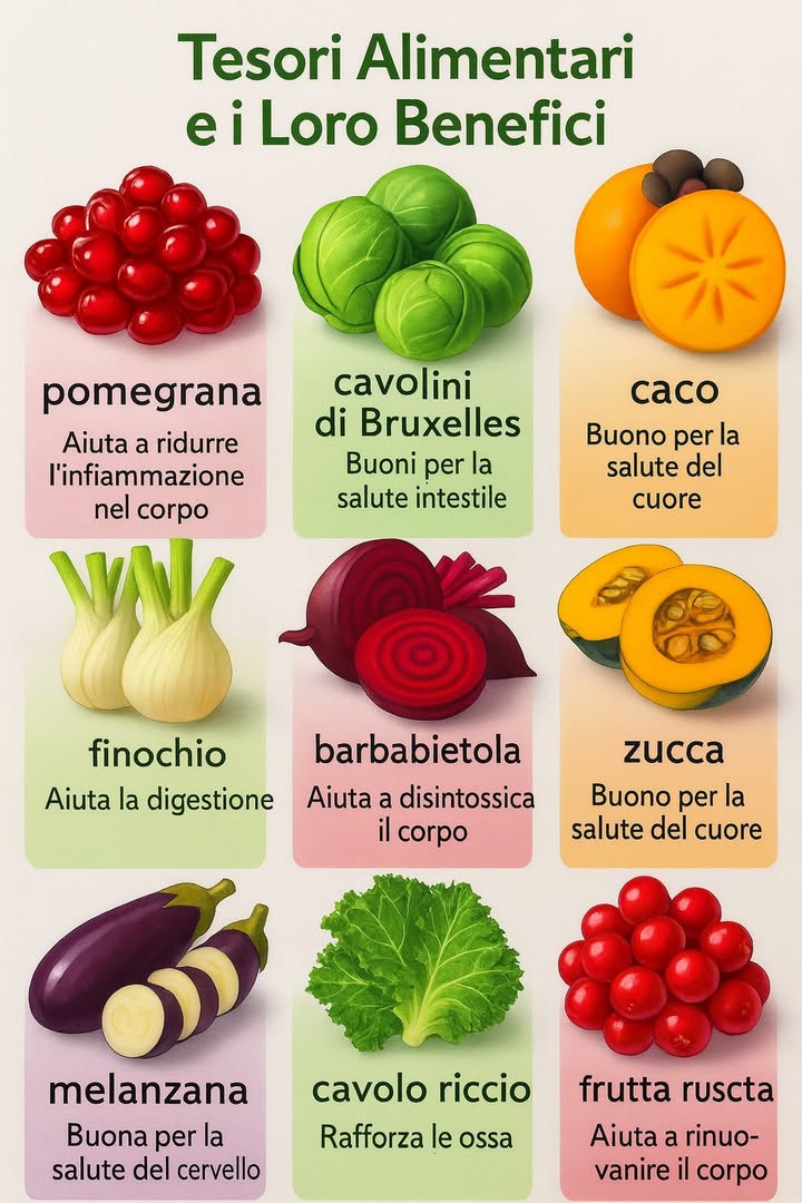 alimenti naturali e i loro benefici 綾

1 Melograno: riduce le infiammazioni e sostiene la salute cardiovascolare.
2 Cavolini di Bruxelles: favoriscono lequilibrio intestinale e la regolarità.
3 Caco: contribuisce al benessere del cuore grazie al contenuto di antiossidanti.
4 Zucca: ricca di vitamine e betacarotene, migliora la salute e la bellezza della pelle.
5 Finocchio: sostiene la digestione e contrasta gonfiori addominali.
6 Barbabietola: depura lorganismo aiutando leliminazione delle tossine.
7 Melanzana: considerata utile per memoria e funzioni cerebrali.
8 Cavolo: rinforza le ossa grazie al contenuto di calcio e vitamina K.
9 Bacche rosse: stimolano rigenerazione e vitalità dellorganismo.

Questi alimenti, semplici e variopinti, se consumati con regolarità, apportano energia e protezione naturale al corpo.