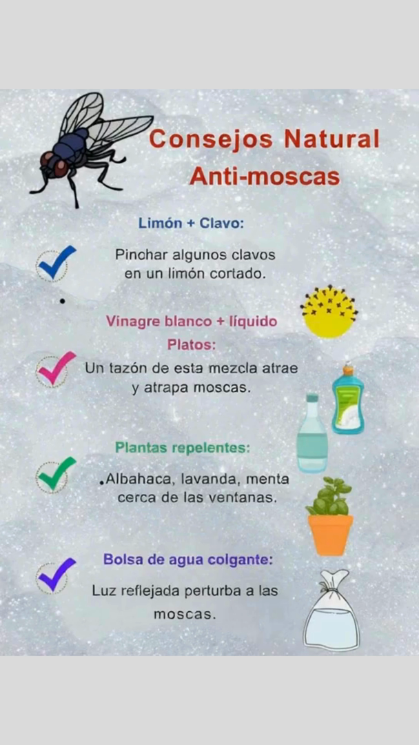 Consejos Naturales Anti-moscas 

 Limón  Clavo:
Pincha clavos en un limón cortado, adiós moscas!

 Vinagre blanco  jabón de platos:
Un tazón de esta mezcla atrae y atrapa moscas al instante.

 Plantas repelentes:
Pon albahaca, lavanda o menta cerca de las ventanas. Natural y decorativo!

 Bolsa de agua colgante:
La luz reflejada confunde y ahuyenta a las moscas.

 Despídete de las moscas con trucos simples y naturales!