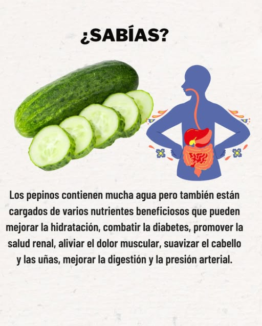 Los pepinos no solo son ricos en agua, sino que también aportan nutrientes que ayudan a mejorar la hidratación, regular la diabetes, favorecer la salud renal, aliviar el dolor muscular, fortalecer el cabello y las uñas, mejorar la digestión y controlar la presión arterial.