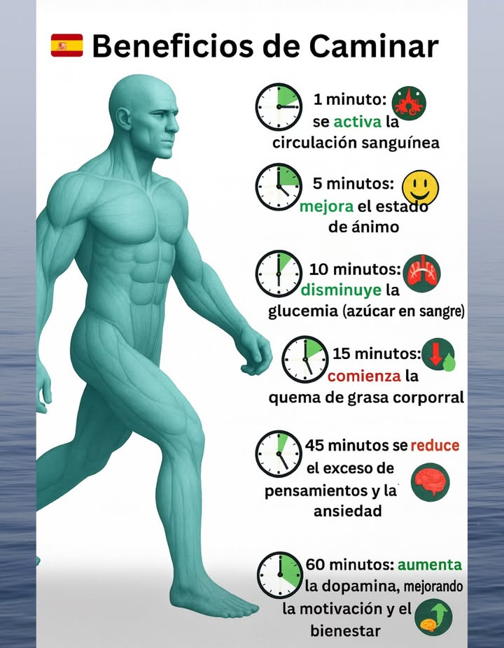 Beneficios de caminar Caminar diariamente produce efectos positivos graduales en el cuerpo y la mente. Aquí te mostramos cómo responde tu organismo con el tiempo: 1 minuto: se activa la circulación sanguínea 5 minutos: mejora tu estado de ánimo 10 minutos: disminuye el cortisol hormona del estrés 15 minutos: se reduce la glucemia 30 minutos: inicia la quema de grasa 45 minutos: disminuye el exceso de pensamientos y la tensión mental 60 minutos: aumenta la dopamina, mejorando motivación y concentración Caminar regularmente promueve el bienestar físico y mental.