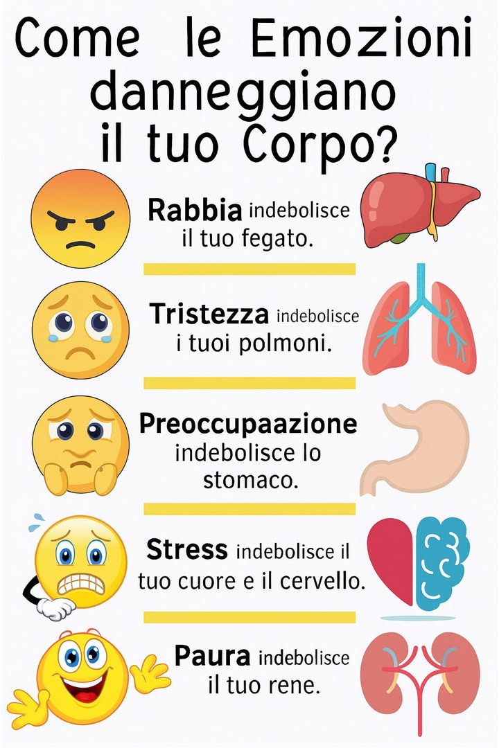 易 Come le Emozioni Influenzano il Benessere Fisico 易
1 Rabbia
Quando viene trattenuta o espressa in modo eccessivo può compromettere il fegato, organo fondamentale per la depurazione e lequilibrio energetico. La gestione regolare attraverso respirazione profonda, attività fisica e meditazione sostiene il suo funzionamento.
2 Paura
Unemozione intensa o prolungata indebolisce i reni, influenzando vitalità, equilibrio idrico e energia generale. Tecniche di radicamento, riposo adeguato e respirazione lenta aiutano a ridurre il carico emotivo.
3 Tristezza
La tristezza persistente può ridurre la capacità dei polmoni di mantenere un ritmo equilibrato. Attività leggere allaria aperta e movimenti che aprono il torace favoriscono una migliore funzione respiratoria.
4 Preoccupazione
Quando diventa costante affatica la milza, rendendo più difficile la digestione e lelaborazione mentale. Organizzazione delle attività, pause regolari e alimentazione equilibrata sostengono questo organo.
5 Gioia eccessiva
Unemozione troppo intensa o incontrollata può disturbare il cuore, alterando il ritmo naturale e il riposo mentale. Rituali serali, respirazione calma e momenti di quiete mantengono lequilibrio emotivo.
6 Equilibrio emotivo
La gestione consapevole delle emozioni contribuisce a preservare larmonia tra mente e corpo, sostenendo ogni organo nelle sue funzioni quotidiane.