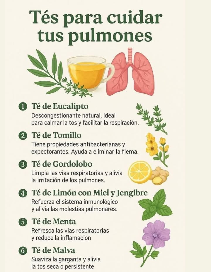 Tés para cuidar tus pulmones