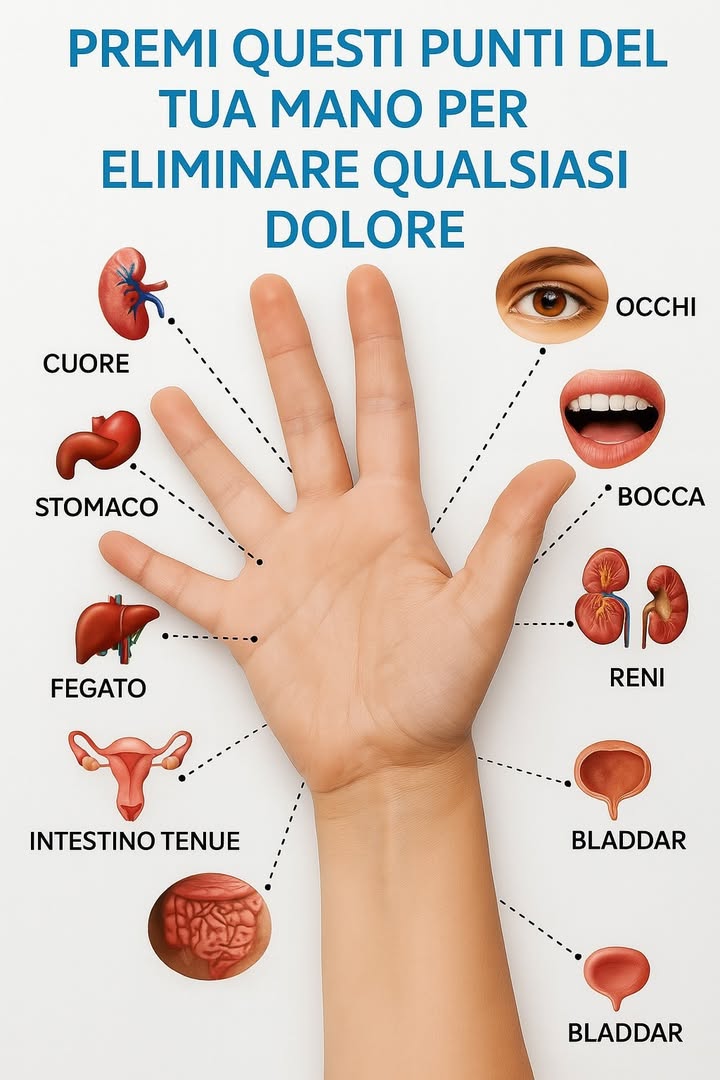 Sbloccare i punti di sollievo nascosti del corpo: come la pressione su determinate zone può alleviare il dolore
Molte pratiche tradizionali e studi moderni suggeriscono che applicare pressione su punti specifici del corpo può aiutare ad alleviare il dolore e migliorare la salute generale. Limmagine sopra illustra una tecnica semplice ma efficace: premere punti specifici sulla mano per ridurre potenzialmente il disagio in vari organi e parti del corpo.

Il concetto alla base dei punti di pressione
Questa tecnica è spesso associata allagopressione, una pratica di medicina tradizionale cinese simile allagopuntura ma senza aghi. Lidea è che il corpo abbia percorsi energetici, o meridiani, e stimolare determinati punti lungo questi meridiani può ripristinare lequilibrio e favorire la guarigione.

Punti di pressione chiave sulla mano
Limmagine dimostra che premendo determinati punti sulla mano, si può influenzare la salute di altre parti del corpo. Ecco a cosa corrisponde ciascun punto:

Cuore: situato sul palmo del dito medio, premere in questo punto può aiutare in caso di problemi cardiaci o dolori al petto.

Occhi: la punta dellindice è associata alla salute degli occhi, probabilmente aiutando in caso di affaticamento oculare o problemi di vista.

Stomaco: il polpastrello del palmo, vicino alla base delle dita, corrisponde alla salute dello stomaco, potenzialmente alleviando lindigestione o il mal di stomaco.

Bocca: la punta del pollice è associata alla salute orale, che può essere utile in caso di mal di denti o gengive.

Fegato: sul lato del palmo, sotto il dito medio, è correlato alla salute del fegato e ai processi di disintossicazione.

Reni: situati lungo il lato interno del palmo, vicino al polso, una pressione in questo punto potrebbe favorire la funzionalità renale e la disintossicazione generale.

Utero/Ovaia: sul palmo, sotto il dito medio, questo punto è associato alla salute riproduttiva.

Vescica: situata sul lato interno della mano, vicino al polso, una pressione in questo punto potrebbe influenzare la salute urinaria e la funzionalità della vescica.

Intestino tenue: sul palmo, vicino alla base del mignolo, è correlato alla digestione e alla salute intestinale.

Come usare questa tecnica
Per trarre potenziali benefici da questi punti:

Rilassa la mano e individua larea corrispondente.
Applica una pressione delicata e decisa con il pollice o lindice.
Mantieni la pressione per alcuni secondi o minuti, a seconda del comfort e della risposta.
Ripeti se necessario, ma evita una pressione eccessiva che può causare dolore.
Nota importante
Sebbene molte persone trovino sollievo con lagopressione, questa non dovrebbe sostituire il trattamento medico in caso di gravi problemi di salute. Consulta sempre un medico in caso di dubbi sulla tua salute o dolore persistente.