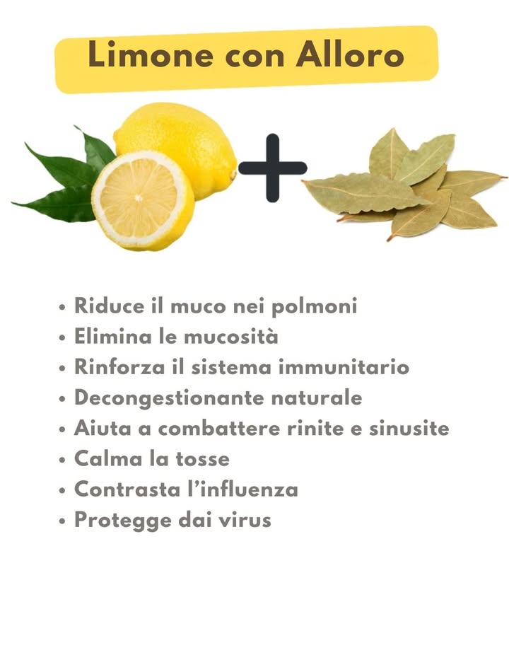 Limone e alloro: un duo naturale per la salute 

Riduce il muco nei polmoni ed elimina le secrezioni

Rafforza il sistema immunitario e favorisce la decongestione

Aiuta a combattere rinite e sinusite

Calma la tosse e sostiene la lotta contro linfluenza

Offre una protezione naturale contro alcuni virus