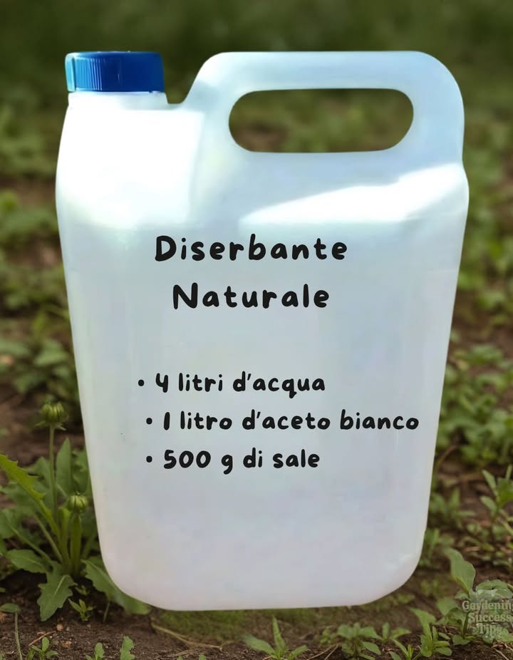 Mescolare accuratamente tutti gli ingredienti e applicare direttamente sulle erbacce indesiderate utilizzando un flacone spray o uno spruzzatore da giardino. Evitare di spruzzare vicino alle piante che si desidera conservare.