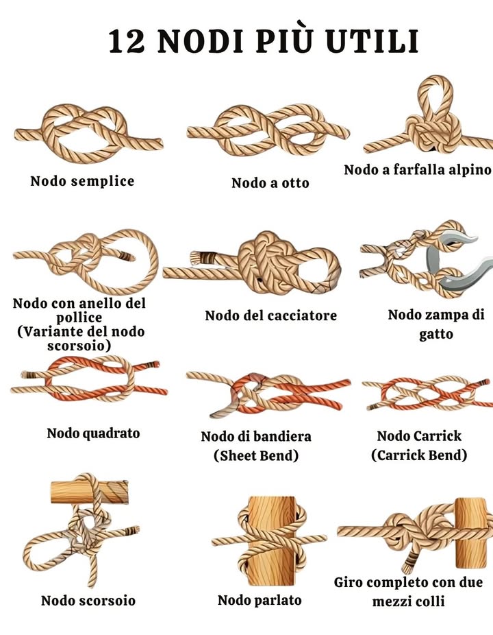 甆 Nodi Essenziali: Tecniche per Ogni Situazione

Nodo Semplice  Ottimo come fermacorda o per chiudere una cima.

Nodo a Otto  Punto dancoraggio sicuro, evita lo scivolamento.

Nodo a Gassa dAmante  Crea unasola fissa che non si stringe sotto tensione.

Nodo a Gassa Semplice  Asola resistente e fissa, facile da sciogliere.

Nodo del Cacciatore  Unisce due corde in modo sicuro.

Nodo Zampe di Gatto  Accorcia una corda o la fissa a un gancio.

Nodo Piano  Unisce due corde dello stesso spessore.

Nodo Testa di Allodola  Fissa una corda a un oggetto o a unanello.

Nodo Carrick  Unisce corde spesse per carichi pesanti.

Nodo Scorrevole  Asola regolabile per vari usi.

Nodo Parlato  Fissa rapidamente una corda a un palo o supporto.

Nodo dAncora  Tenuta solida per legare ad anelli o ancore.

 Padroneggia questi nodi per vela, campeggio, giardinaggio, arrampicata o fai-da-te!