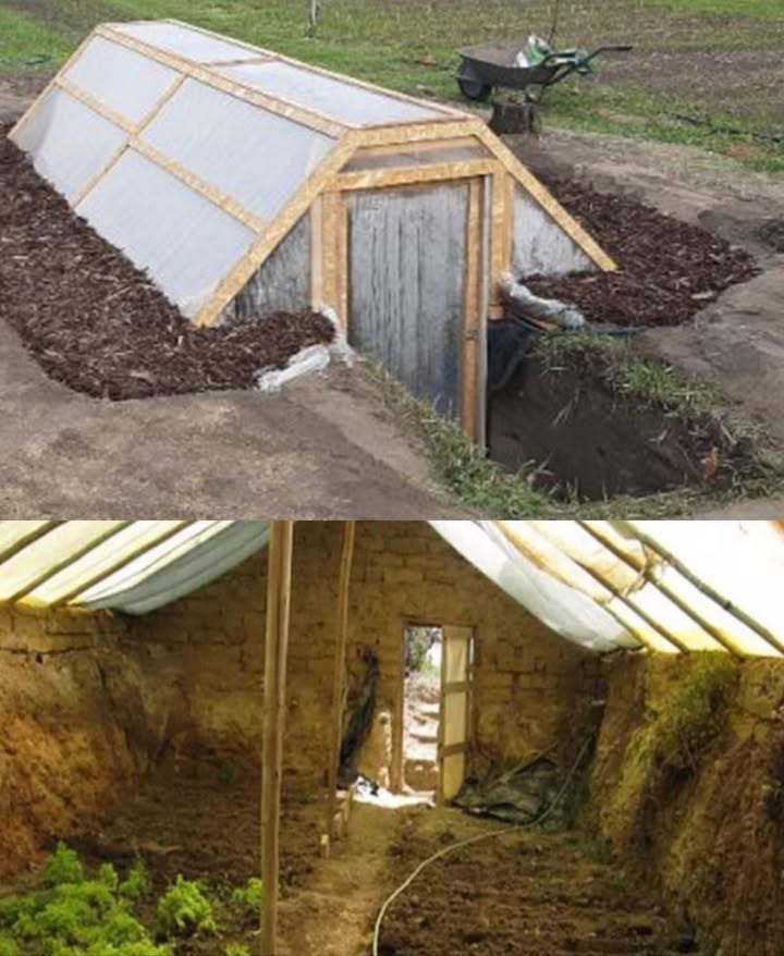 PER COLTIVARE TUTTO LANNO, PROVA UNA SERRA SOTTERRANEA: Come costruire una serra sotterranea 
Coltivare Tutto lAnno con una Serra Sotterranea Walipini: Guida Completa alla Costruzione

Coltivare ortaggi e piante in tutte le stagioni, soprattutto in climi freddi o instabili, può sembrare una sfida.
La soluzione sostenibile e intelligente si chiama serra sotterranea, o walipini, un sistema che sfrutta il calore naturale della terra per mantenere temperature costanti e proteggere le colture dagli agenti atmosferici.

 1. Vantaggi della Serra Sotterranea

Stabilità termica: a pochi metri sotto il suolo, la temperatura resta costante tutto lanno, riducendo sbalzi termici.

Protezione dagli elementi: vento, neve e grandine incidono molto meno.

Coltivazione prolungata: consente di coltivare anche durante linverno.

Sostenibilità: richiede pochissima energia per il riscaldamento grazie allisolamento naturale.

 2. Scelta del Luogo Ideale

Esposizione solare: scegli unarea con massima luce solare versante sud nellemisfero nord, nord nellemisfero sud.

Drenaggio: il terreno deve drenare bene per evitare ristagni. Aggiungi ghiaia o crea aiuole rialzate.

Accessibilità: scegli un punto facilmente raggiungibile tutto lanno.

 3. Costruzione Passo per Passo
 a. Scavo

Profondità: 2,53 metri circa 810 piedi per sfruttare lisolamento naturale.

Dimensioni: variabili; una misura comune è 36 m 1020 piedi, ma adattala alle tue esigenze.

 b. Pareti

Costruisci con mattoni, pietre o sacchi di terra.

Rinforza con cemento se necessario.

Isola la parete nord con balle di paglia o pannelli isolanti per trattenere il calore.

 c. Tetto

Usa plastica UV, policarbonato o vetro trasparente.

Inclina il tetto verso il sole per massimizzare la luce e favorire lo scolo di pioggia o neve.

 d. Pavimento

Preferisci ghiaia per migliorare il drenaggio.

In alternativa, puoi usare cemento o mantenere il suolo naturale se preferisci coltivare direttamente a terra.

 e. Ventilazione

Installa bocchette o finestre sul punto più alto del tetto per far uscire laria calda.

Una porta su ciascun lato migliora il flusso daria e facilita laccesso.

 4. Gestione e Manutenzione

Controllo del clima: usa un termometro o un termostato per monitorare temperatura e umidità.

Pest management: verifica regolarmente la presenza di insetti e usa rimedi naturali come neem o trappole biologiche.

Irrigazione: regola lacqua in base allumidità interna; evita ristagni che possono danneggiare le radici.

 5. Consigli Extra per un Microclima Perfetto

Barili dacqua: posizionali lungo le pareti; accumulano calore di giorno e lo rilasciano di notte.

Aiuole rialzate: migliorano il drenaggio e prevengono marciumi radicali.

Superfici riflettenti: rivesti le pareti interne con materiali chiari o alluminio per riflettere la luce e aumentare la luminosità.

 Conclusione

Una serra sotterranea è un progetto ecologico, efficiente e duraturo che permette di coltivare ortaggi freschi tutto lanno, anche nei mesi più freddi.
Richiede impegno iniziale, ma offre autonomia alimentare, risparmio energetico e sostenibilità.

 Con il calore della terra come alleato, la tua serra walipini diventerà un piccolo ecosistema autosufficiente, dove ogni stagione è buona per coltivare.