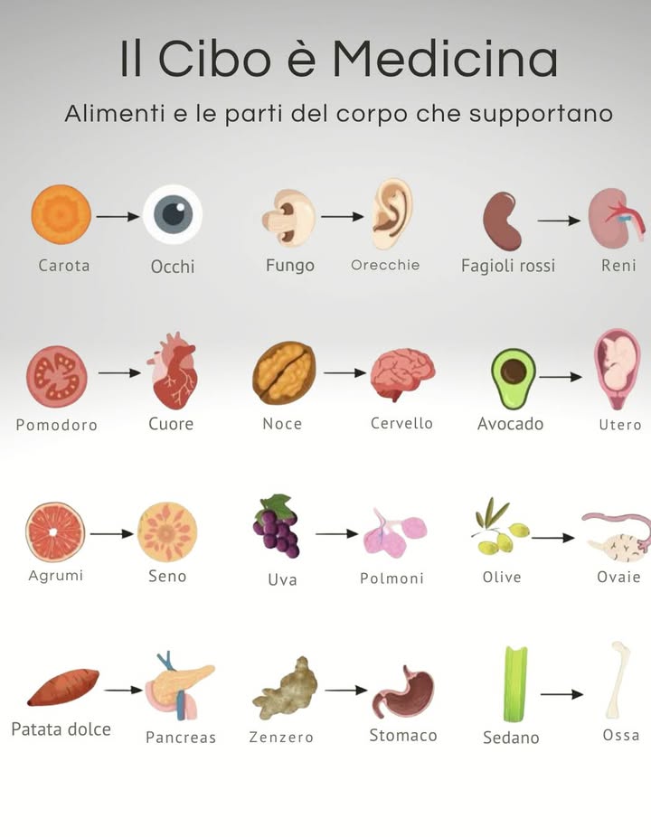 Alimenti e parti del corpo che supportano:
 Carota  Occhi 
 Funghi  Orecchie 
 Fagioli  Reni 
 Pomodoro  Cuore 
 Noce  Cervello 
 Avocado  Utero 
 Agrumi  Seni 
 Uva  Polmoni 
 Olive  Ovaie 
 Patata dolce  Pancreas 
 Zenzero  Stomaco 
 Sedano  Ossa 
Ognuno di questi alimenti contiene nutrienti e composti che aiutano a sostenere e rafforzare lorgano o la funzione corporea associata.