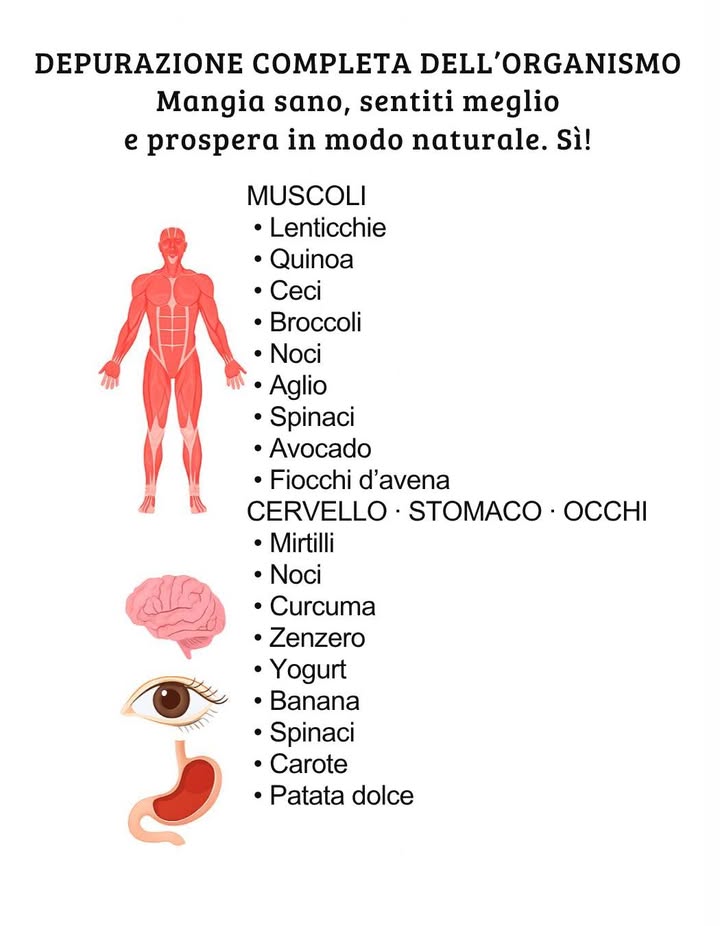 Pulizia completa dellorganismo con alimenti naturali 

Unalimentazione equilibrata favorisce la salute globale del corpo.
Questi alimenti, ricchi di nutrienti essenziali, aiutano a mantenere muscoli forti, mente attiva, digestione sana e vista protetta.

 MUSCOLI
Lenticchie
Quinoa
Ceci
Broccoli
Noci
Aglio
Spinaci
Avocado
Fiocchi davena

易 CERVELLO   STOMACO   OCCHI
Mirtilli
Noci
Curcuma
Zenzero
Yogurt
Banana
Spinaci
Carote
Patata dolce

 Una selezione di alimenti semplici, naturali e nutrienti che favoriscono il benessere quotidiano.