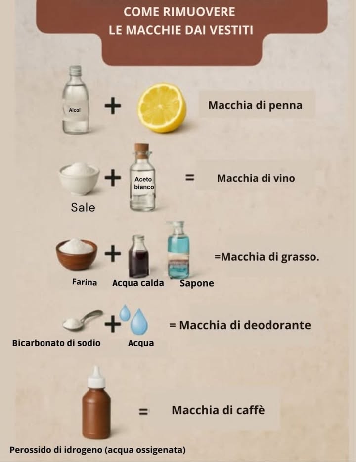 識 COME RIMUOVERE LE MACCHIE DAI VESTITI  METODI NATURALI ED EFFICACI 
Non servono prodotti chimici costosi per eliminare le macchie più ostinate: basta conoscere gli ingredienti giusti e combinarli in modo semplice. Questa guida pratica ti mostra come trattare ogni tipo di macchia con rimedi casalinghi efficaci e naturali.
 Macchie di penna
 Alcol  Succo di limone
Tampona la macchia con alcol e succo di limone: il mix scioglie linchiostro senza rovinare il tessuto.
 Macchie di vino
 Sale  Aceto bianco
Cospargi la zona con sale, poi versa aceto bianco: il sale assorbe e laceto neutralizza il colore del vino.
 Macchie di grasso
 Farina  Acqua calda  Sapone
La farina assorbe il grasso in eccesso, mentre acqua calda e sapone sciolgono i residui.
 Macchie di deodorante
 Bicarbonato di sodio  Acqua
Crea una pasta e applicala sulla zona interessata: elimina gli aloni e i cattivi odori.
 Macchie di caffè
 Perossido di idrogeno acqua ossigenata
Applicalo direttamente sulla macchia: ossida i pigmenti scuri del caffè e li rende invisibili.
 Tutti questi rimedi sono economici, ecologici e perfetti per il bucato di tutti i giorni. Provali prima su una piccola area del tessuto per sicurezza!
#MacchieVestiti #RimediNaturali #PulizieEcologiche #BucatoPerfetto #TrucchiDiCasa