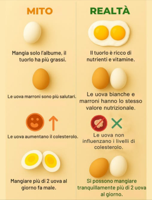 Miti e fatti sulle uova