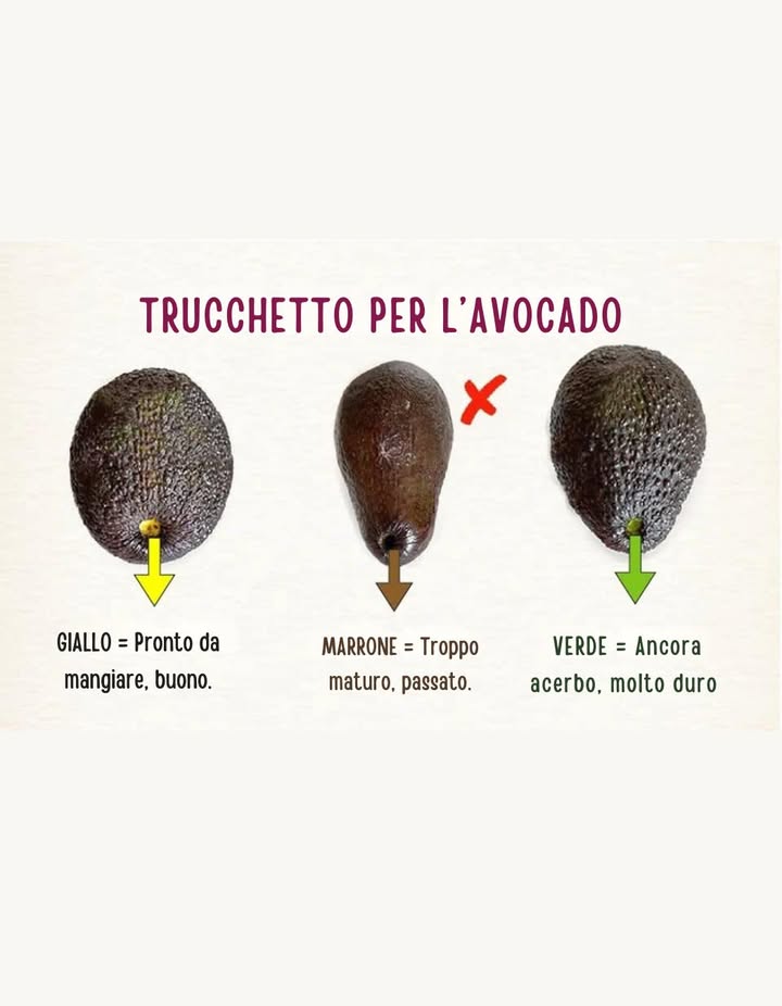 陋 Trucchetto per scegliere lavocado

 Se sotto il picciolo è giallo, lavocado è pronto e buono da mangiare.
 Se è marrone, significa che è troppo maturo e passato.
 Se è verde, è ancora acerbo e molto duro.

Un controllo rapido che ti assicura lavocado perfetto ogni volta!