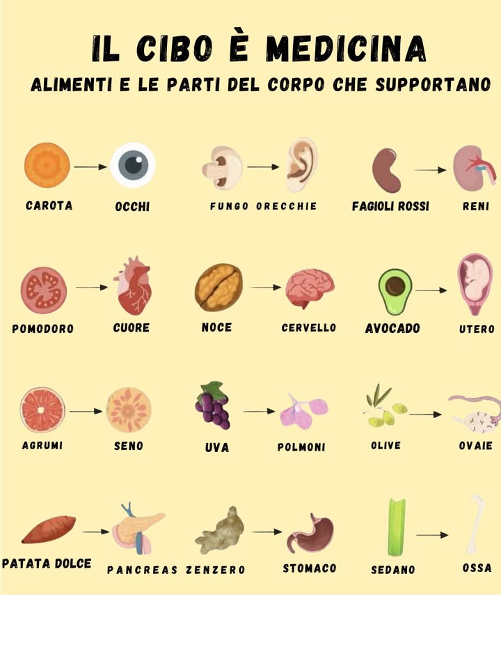 Alimenti e parti del corpo che supportano:
Carota  Occhi
Funghi  Orecchie
Fagioli  Reni
Pomodoro  Cuore
Noce  Cervello
Avocado  Utero
Agrumi  Seni
Uva  Polmoni
Olive  Ovaie
Patata dolce  Pancreas
Zenzero  Stomaco
Sedano  Ossa
Ognuno di questi alimenti contiene nutrienti e composti che aiutano a sostenere e rafforzare lorgano o la funzione corporea associata.